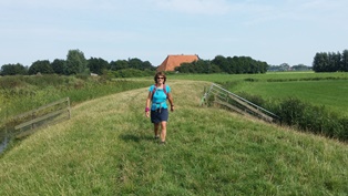 Wandelingen in Friesland